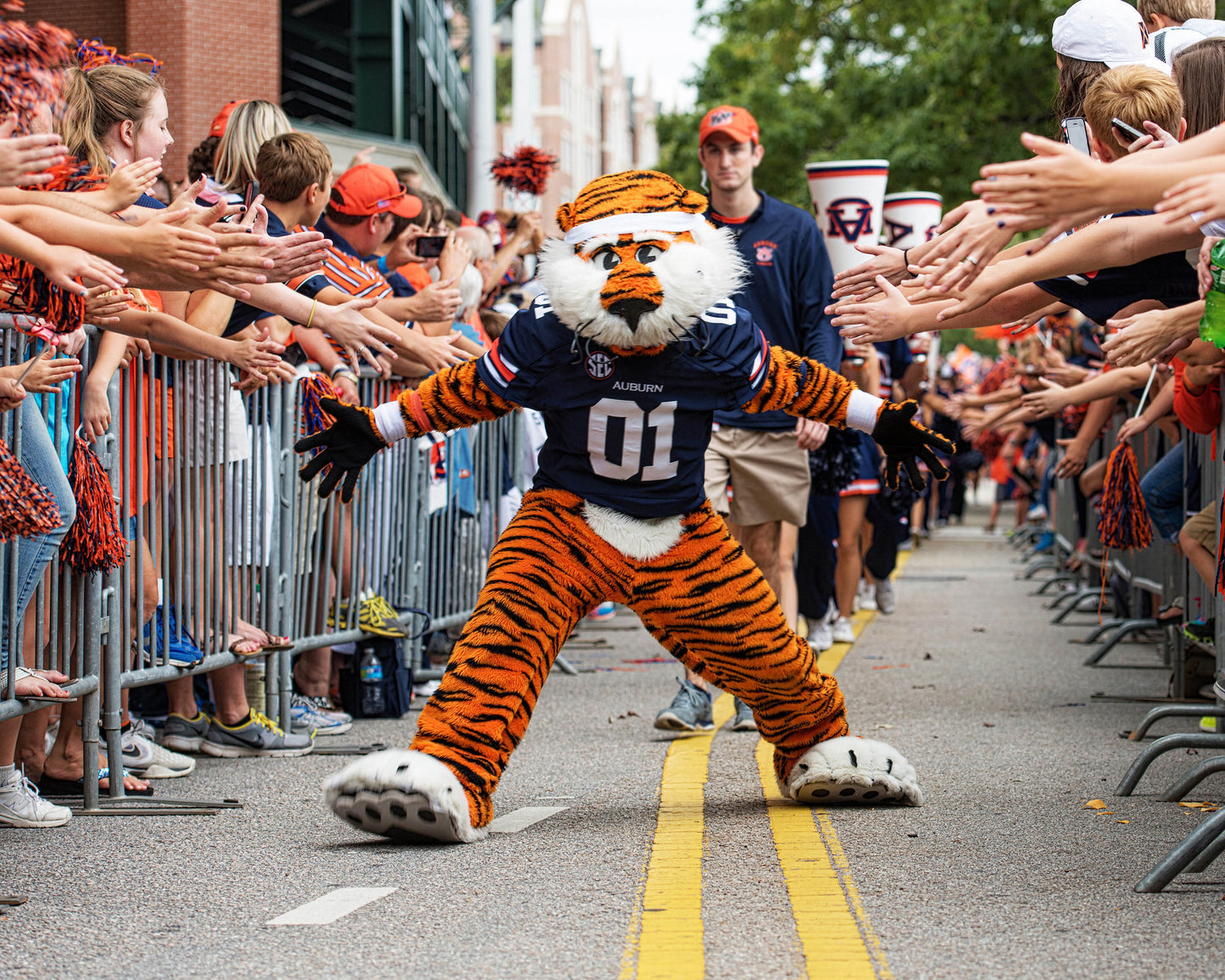 Tiger Walk