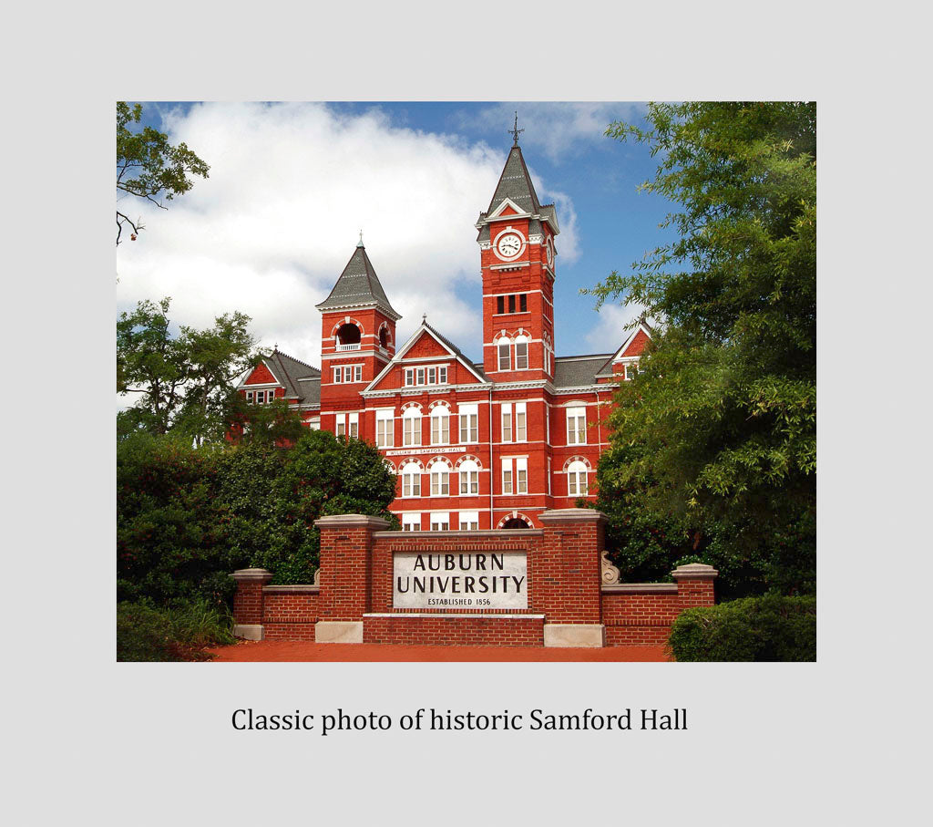 Custom Diploma Frame in Pecan with Picture & Archival Mat