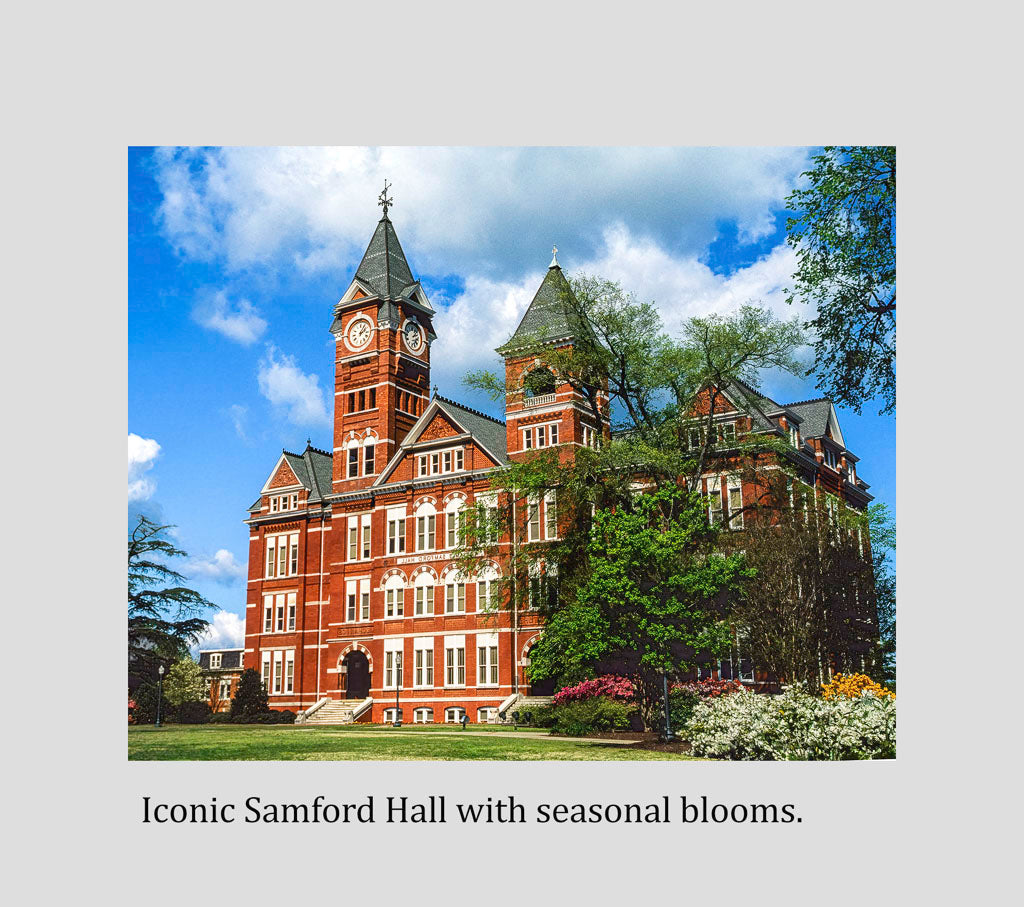 Custom Diploma Frame in Mahogany with Picture & Archival Mat