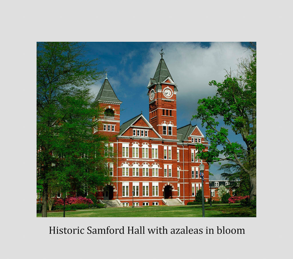 Custom Diploma Frame in Mahogany with Picture & Archival Mat